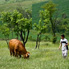 project-kosovo-3.jpg project-kosovo-3.jpg