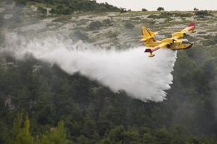 20170810-forest-fires.jpg