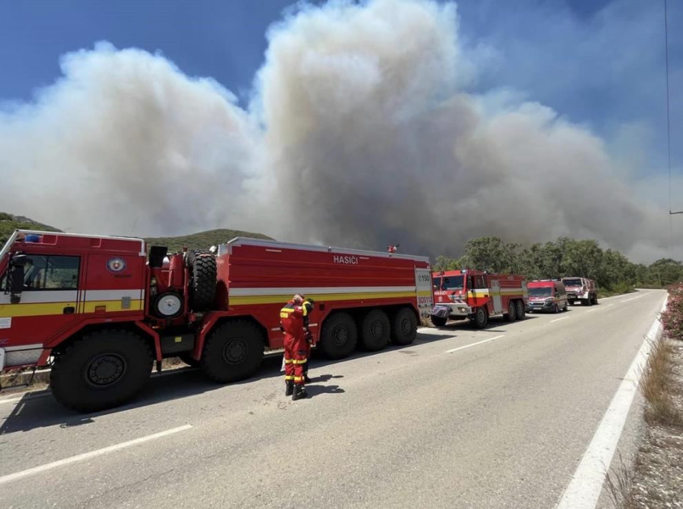 Wildfires