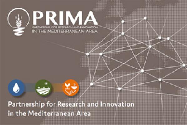 20180410_prima.jpg