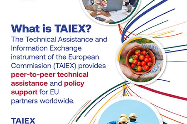 TAIEX infographic 01 slide 01